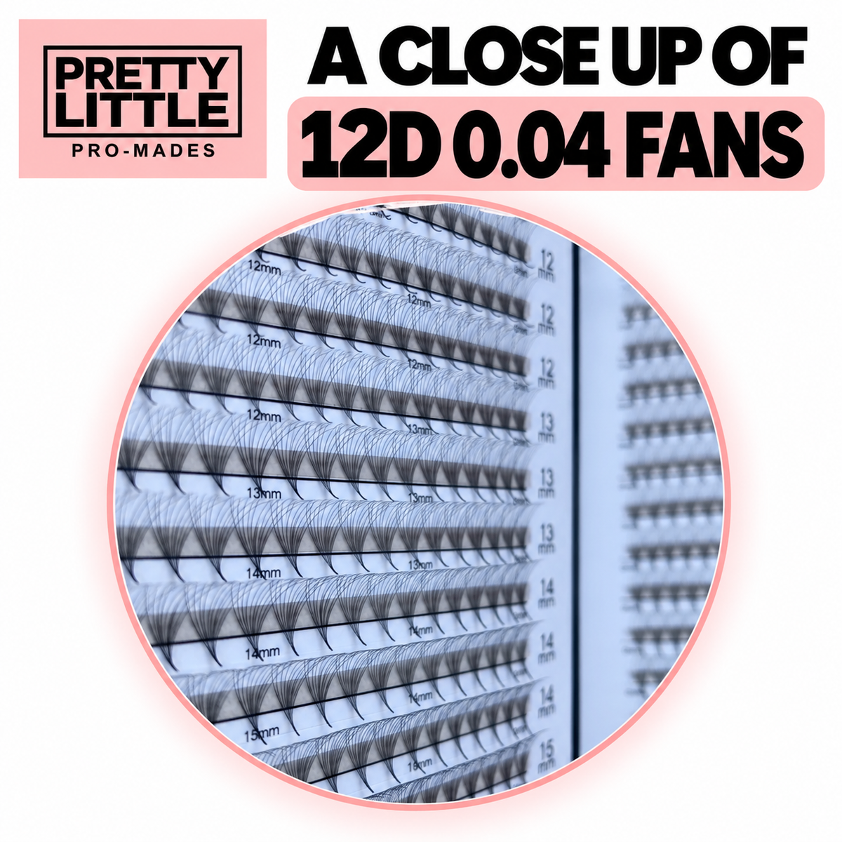 12D 0.04 Pro-Made Fan Book (960 Fans)