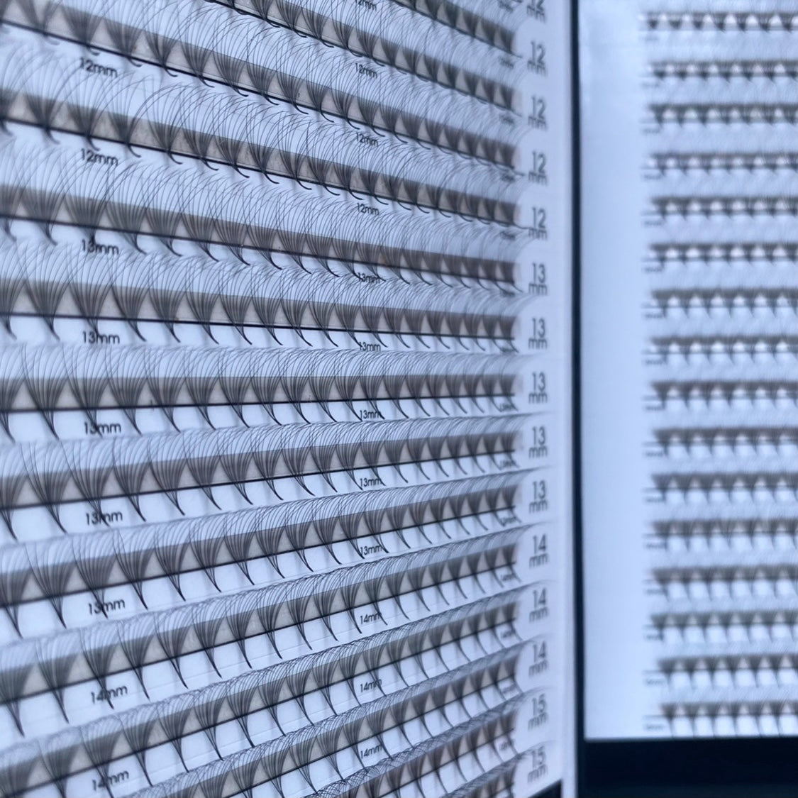 12D 0.04 Pro-Made Fan Book (960 Fans)