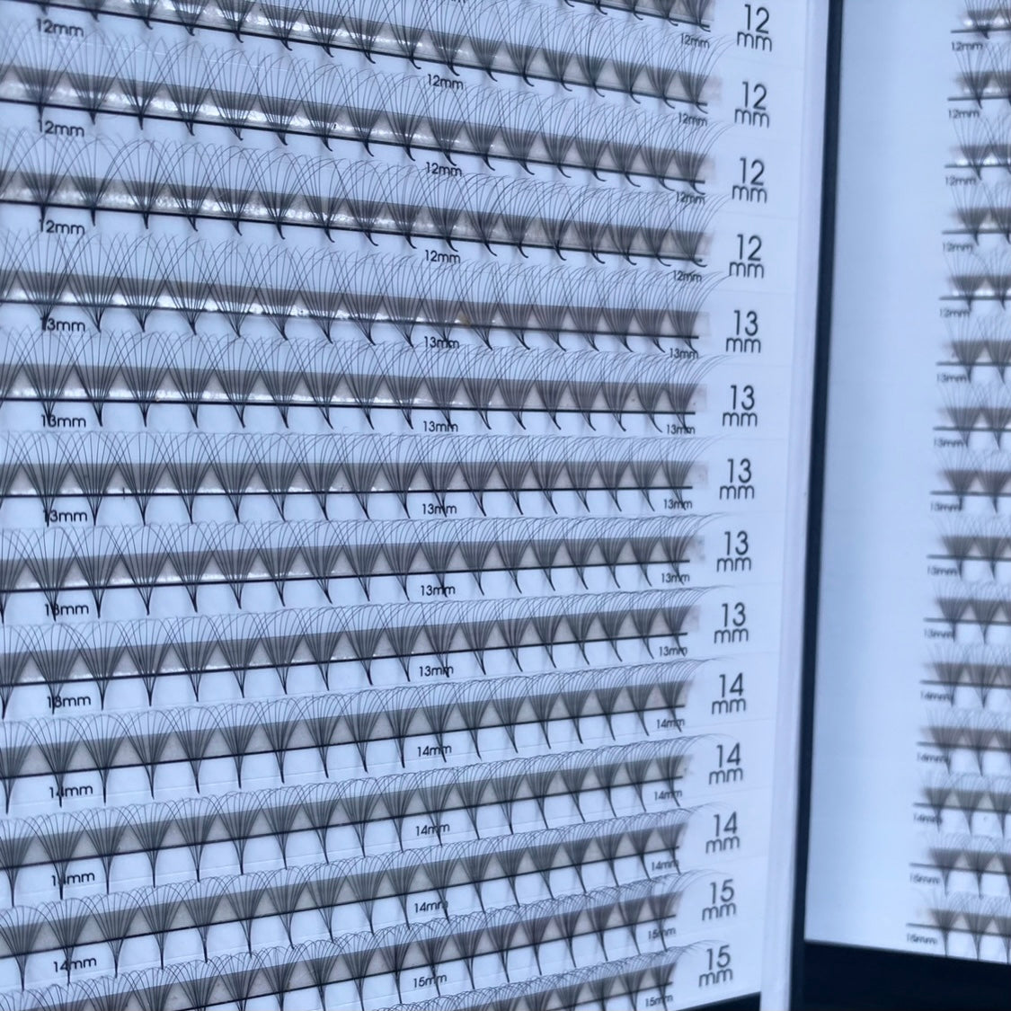 10D 0.04 Pro-Made Fan Book (1000 Fans)